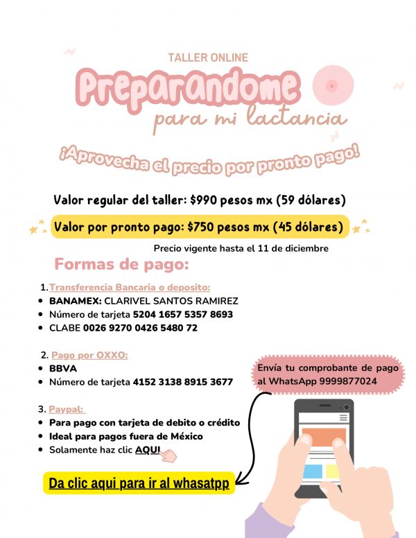 Taller Online En vivo: Preparándome para mi lactancia - Imagen 6